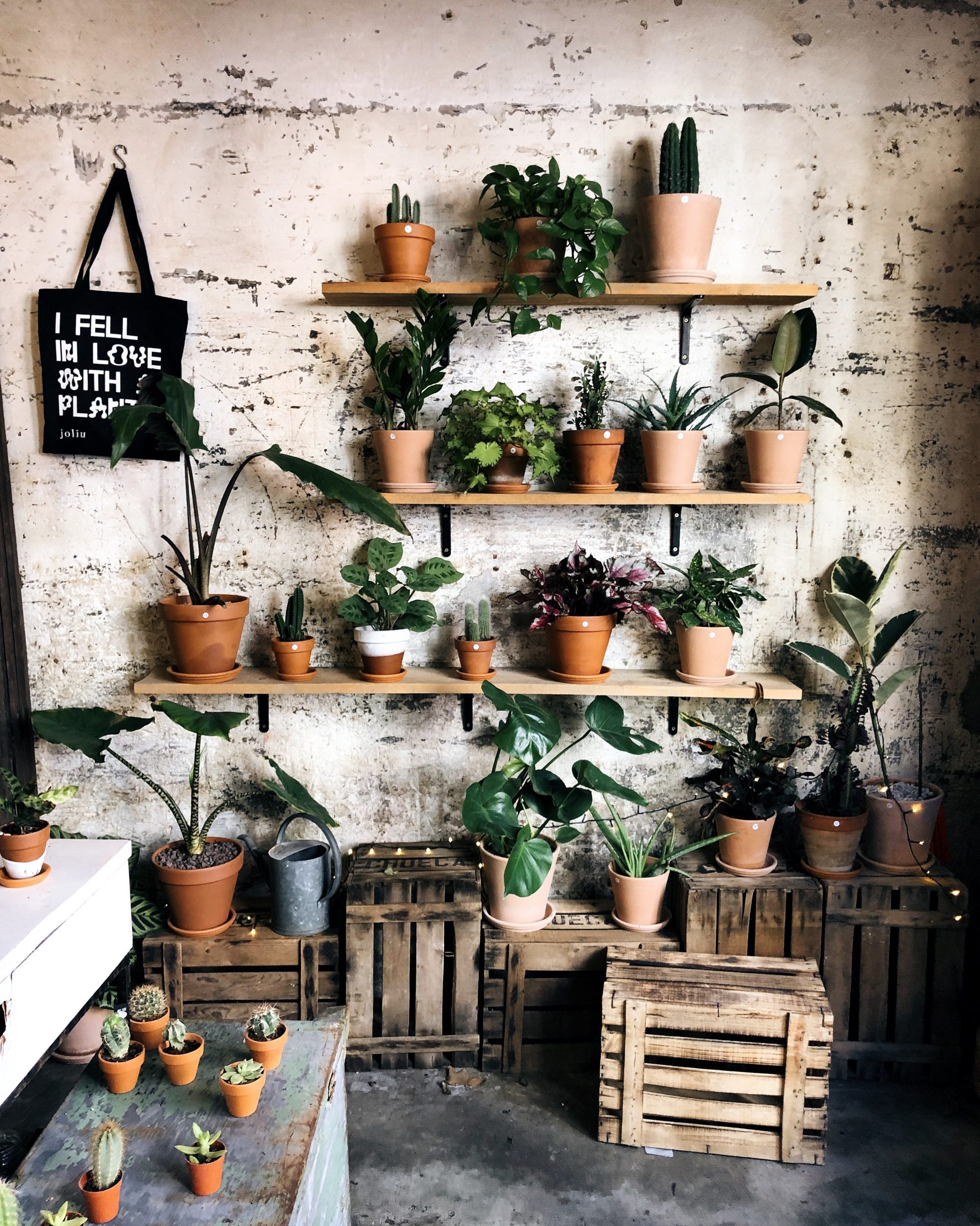 31569DB0-AAAC-492C-BE6F-551441E1396B