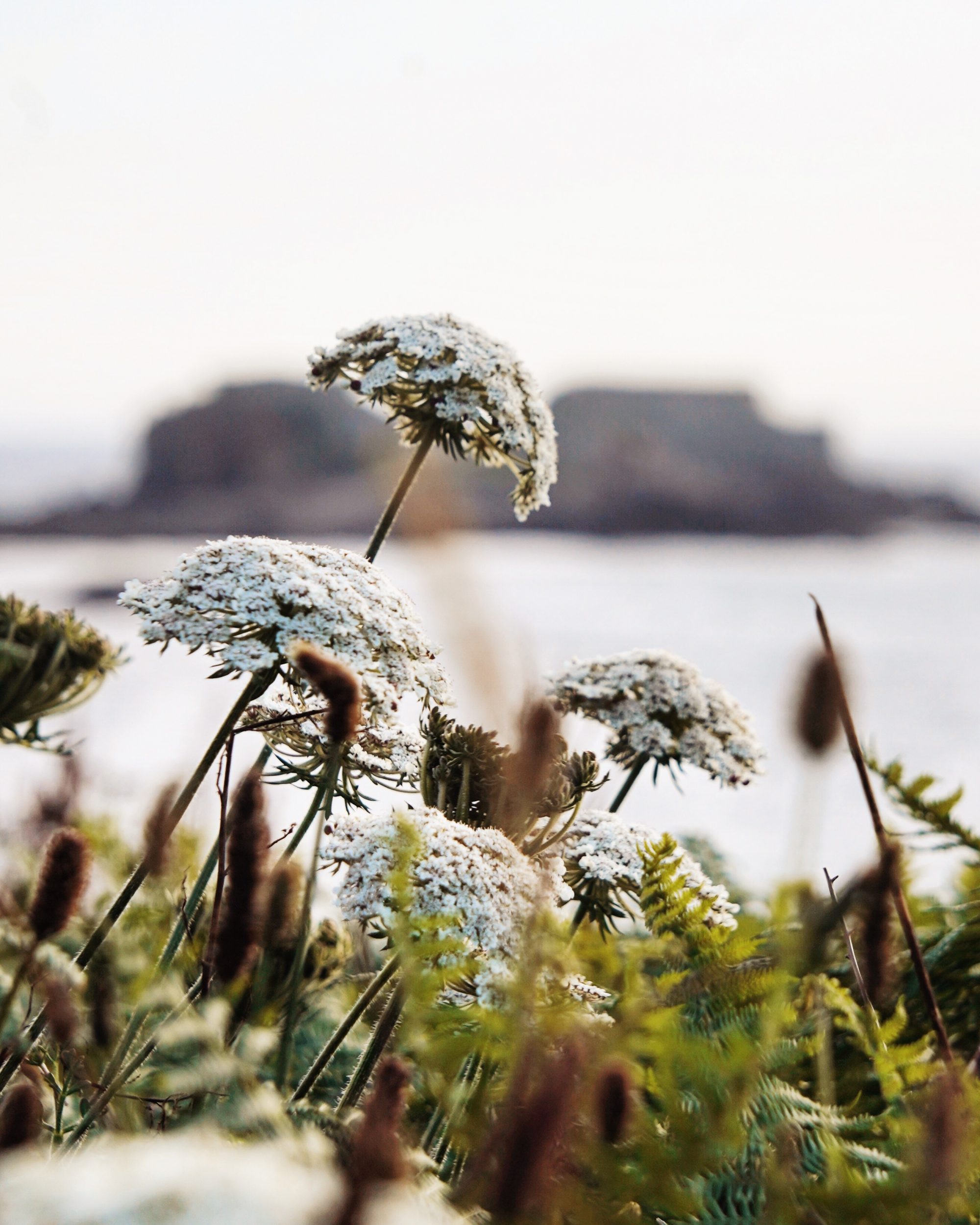 Processed with VSCO with u1 preset