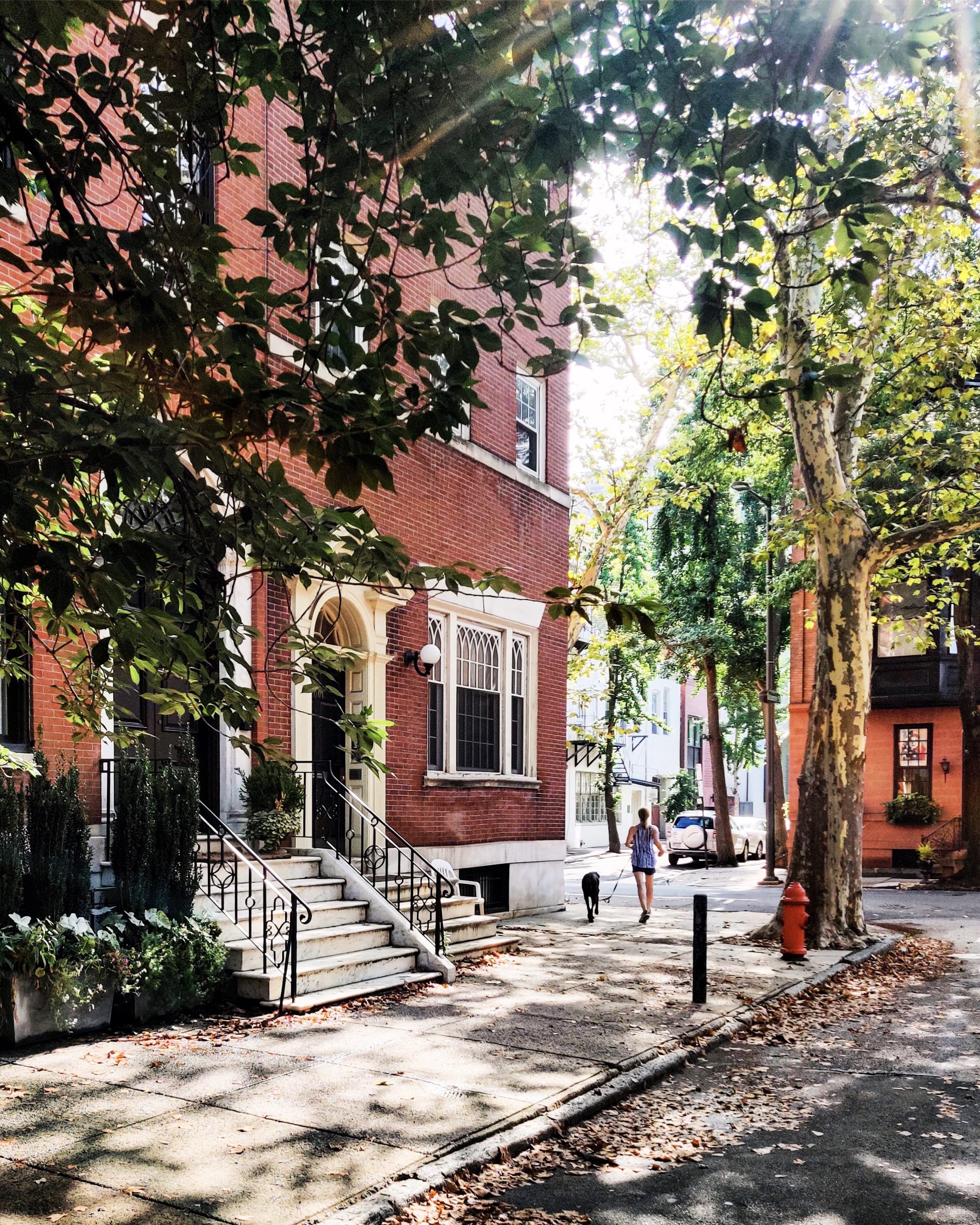 Processed with VSCO with a1 preset