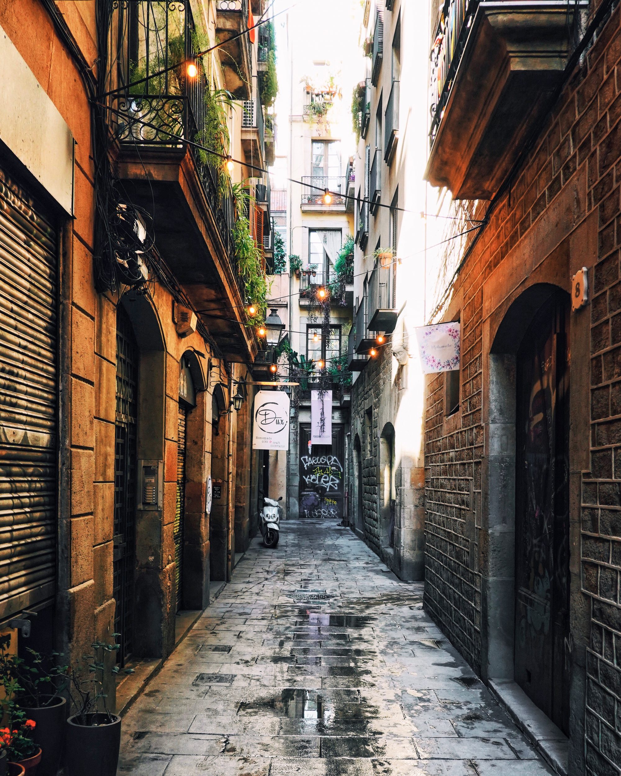 Processed with VSCO with a1 preset