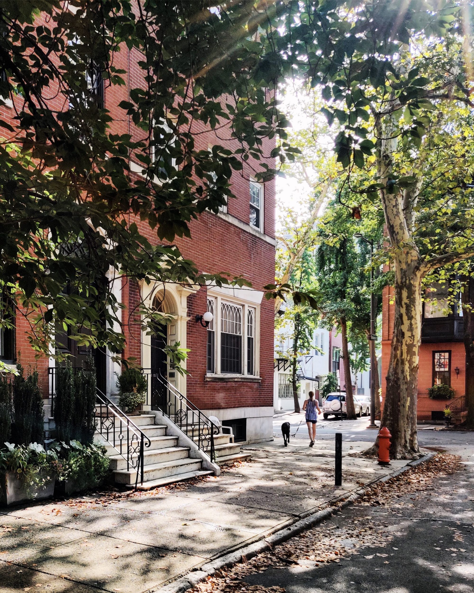 Processed with VSCO with a1 preset