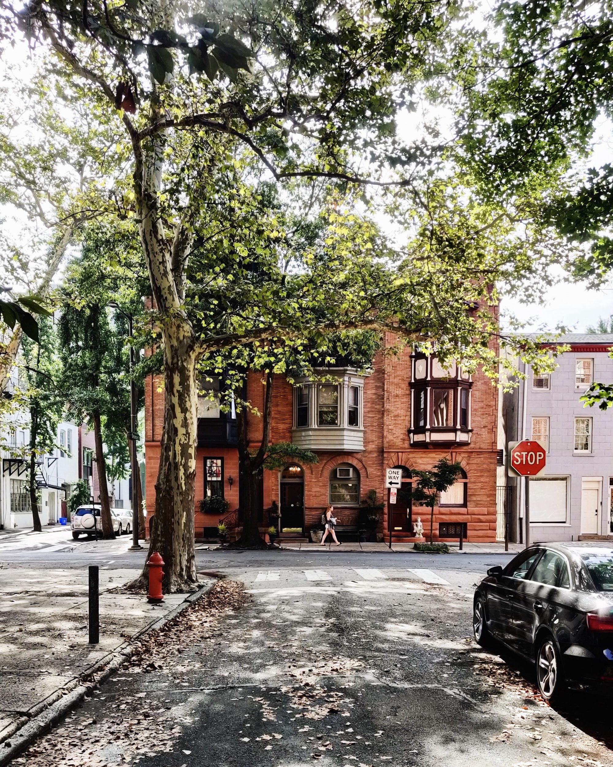 Processed with VSCO with a6 preset