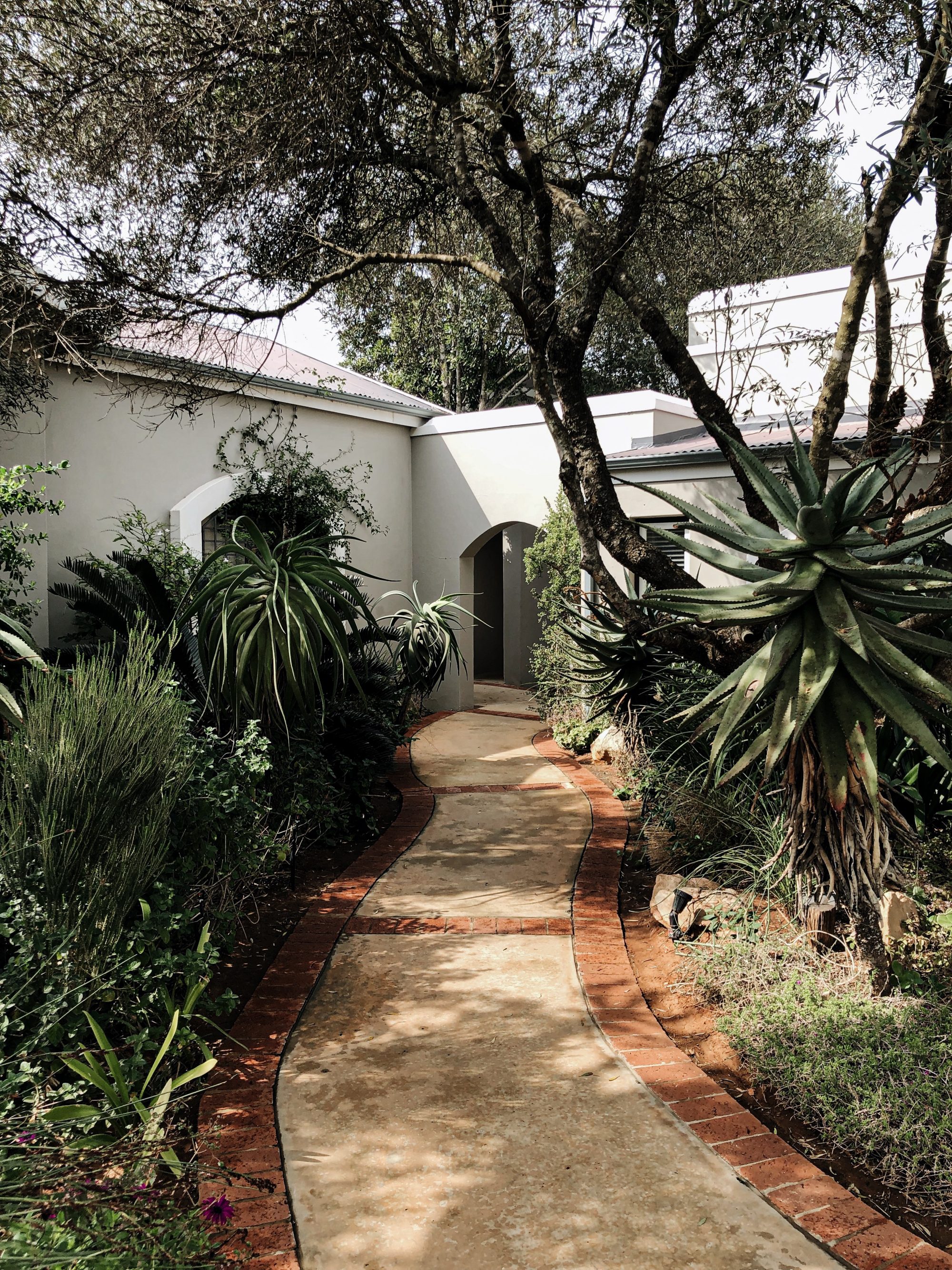 Processed with VSCO with a6 preset