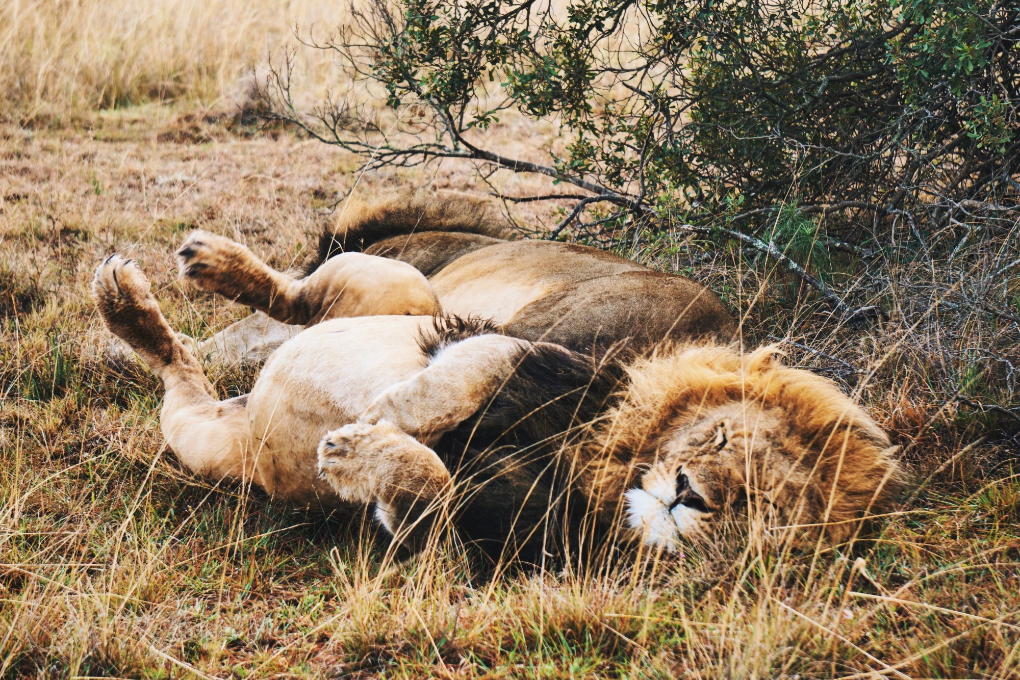 Processed with VSCO with g6 preset