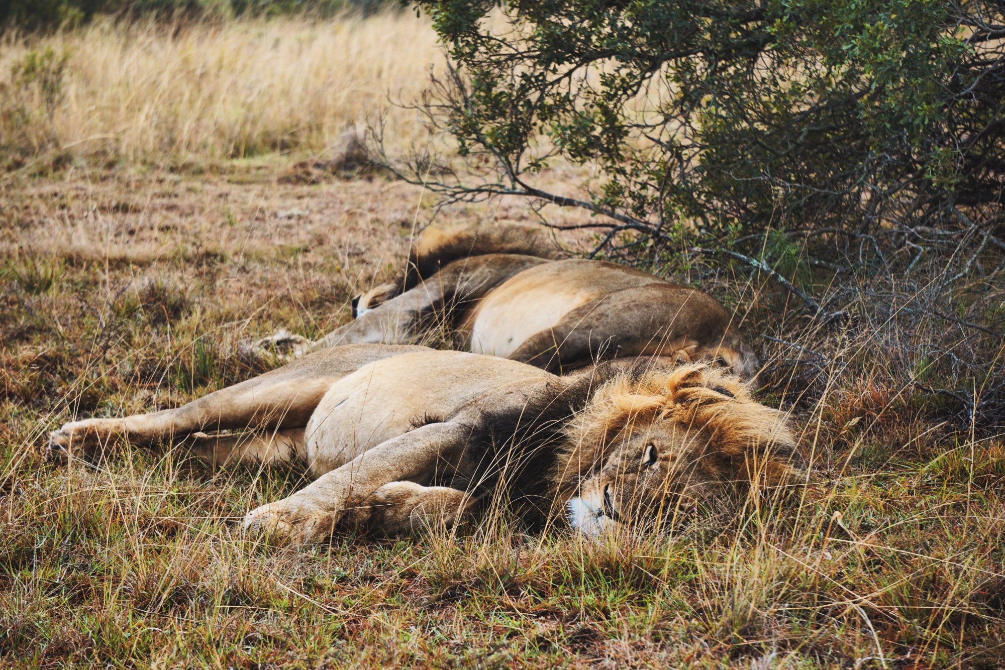 Processed with VSCO with g8 preset